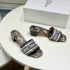 Christian Dior Slippers